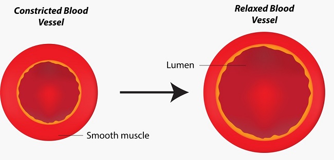 The effect of ACE inhibitors