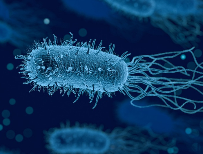 Interpretation of a bacterium with flagella.