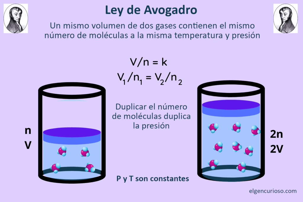 avogadro's law
