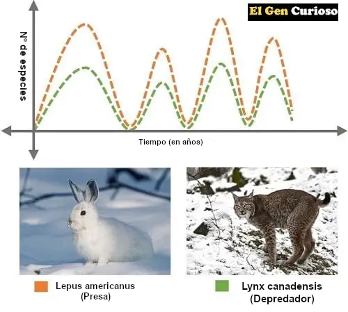 Predation, biotic factor